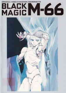 Black Magic M 66