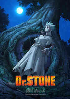 Dr. Stone 3rd Season (Dub)