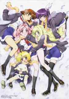 Girls Bravo First Season
