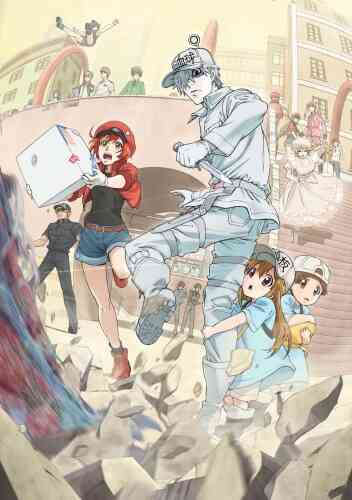 Cells at Work! (Dub)