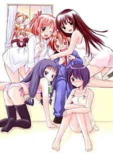 Negima!: Magister Negi Magi Introductin Film